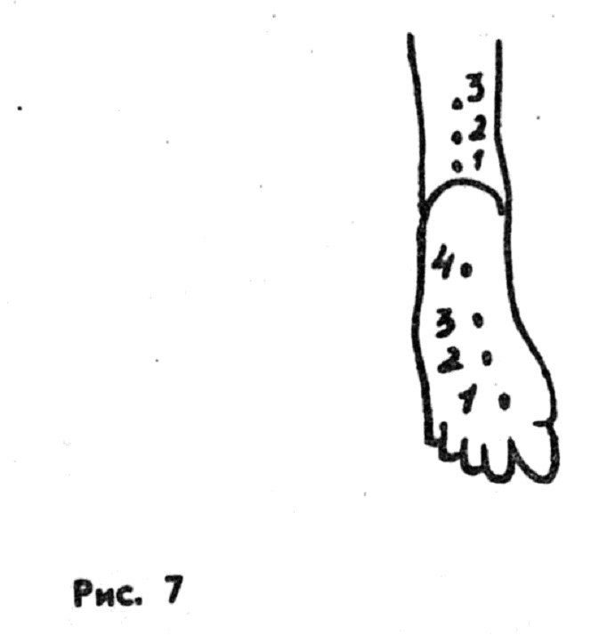 3815