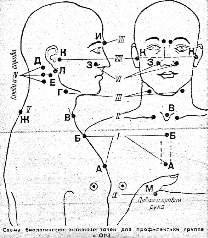 Лечение точками. Схема точек на человеке. Биологически активные точки схема. Биологически активные точки на теле человека. Точечный массаж схема.